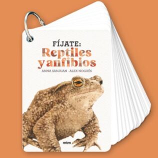 Fíjate: reptiles y anfibios – cartas para aprender a reconocer anfibios y reptiles