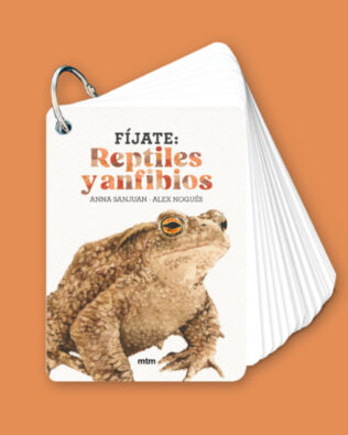 Fíjate: reptiles y anfibios – cartas para aprender a reconocer anfibios y reptiles